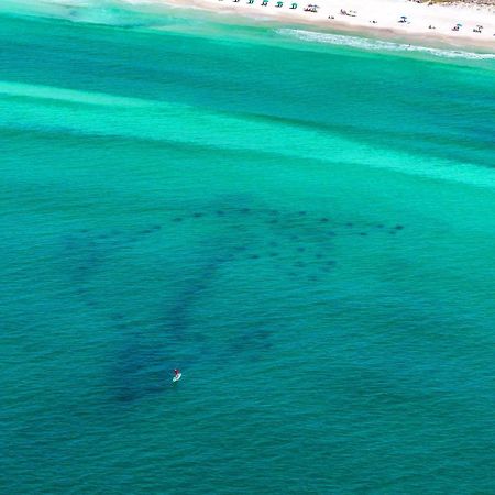 Beach Resort 316 Destin Eksteriør billede
