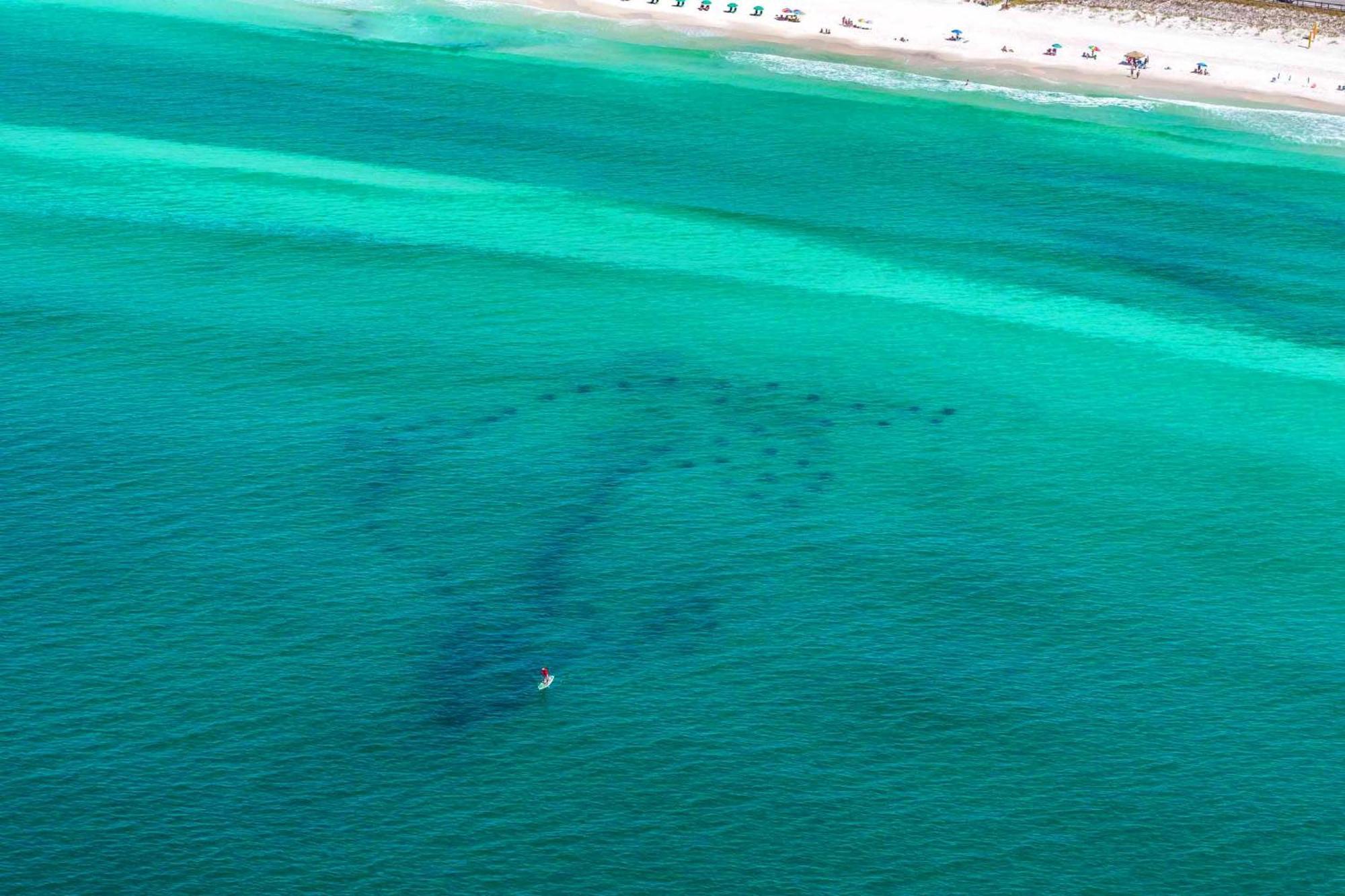 Beach Resort 316 Destin Eksteriør billede